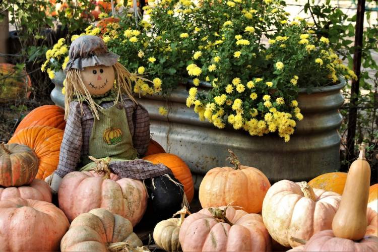 Fall Fest in Historic Downtown Panama City Summerhouse Condominiums